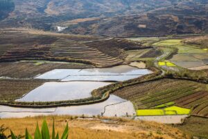 ALBUMS-LANDSCAPES (2)